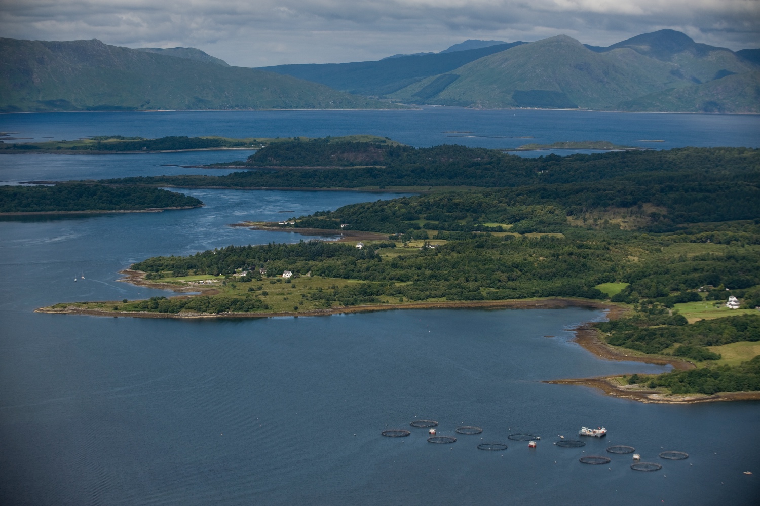 Fish farm_from above_151118.jpg