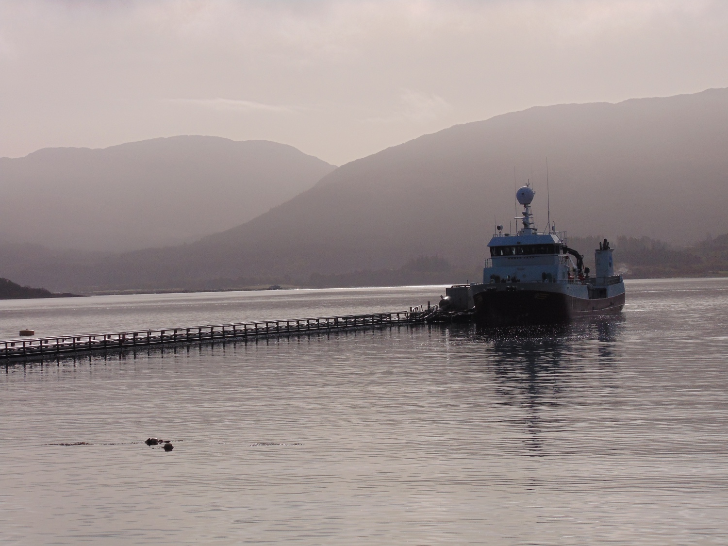 EMFF 1: non-medicinal interventions and operational innovation