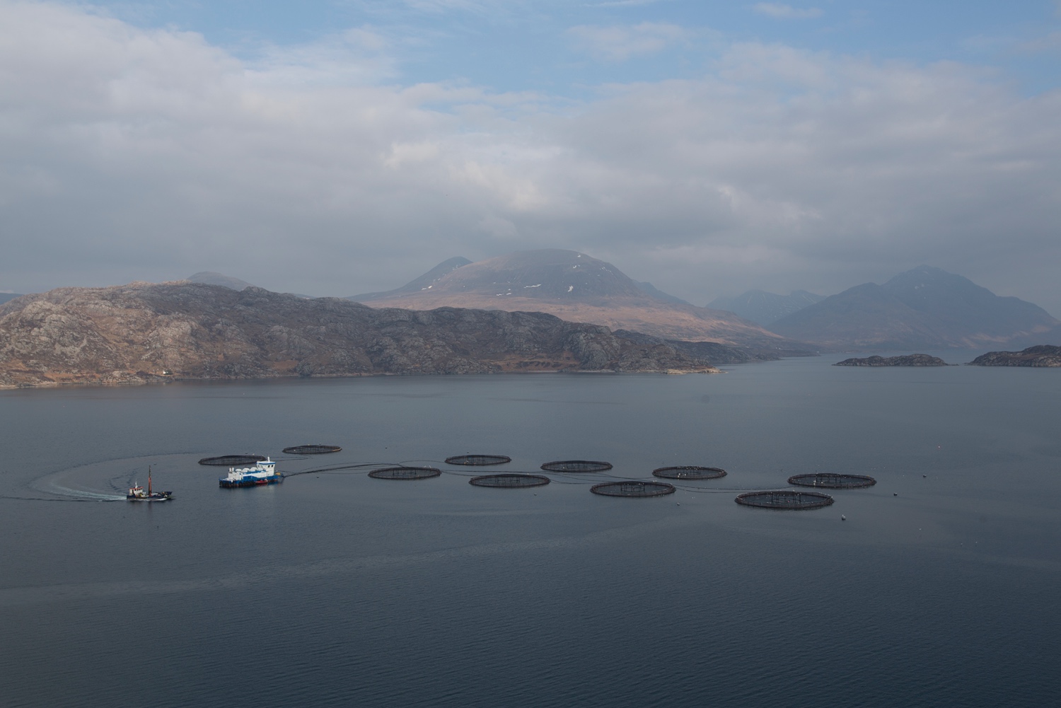 Using eDNA metabarcoding as an alternative to macrobenthic assessments