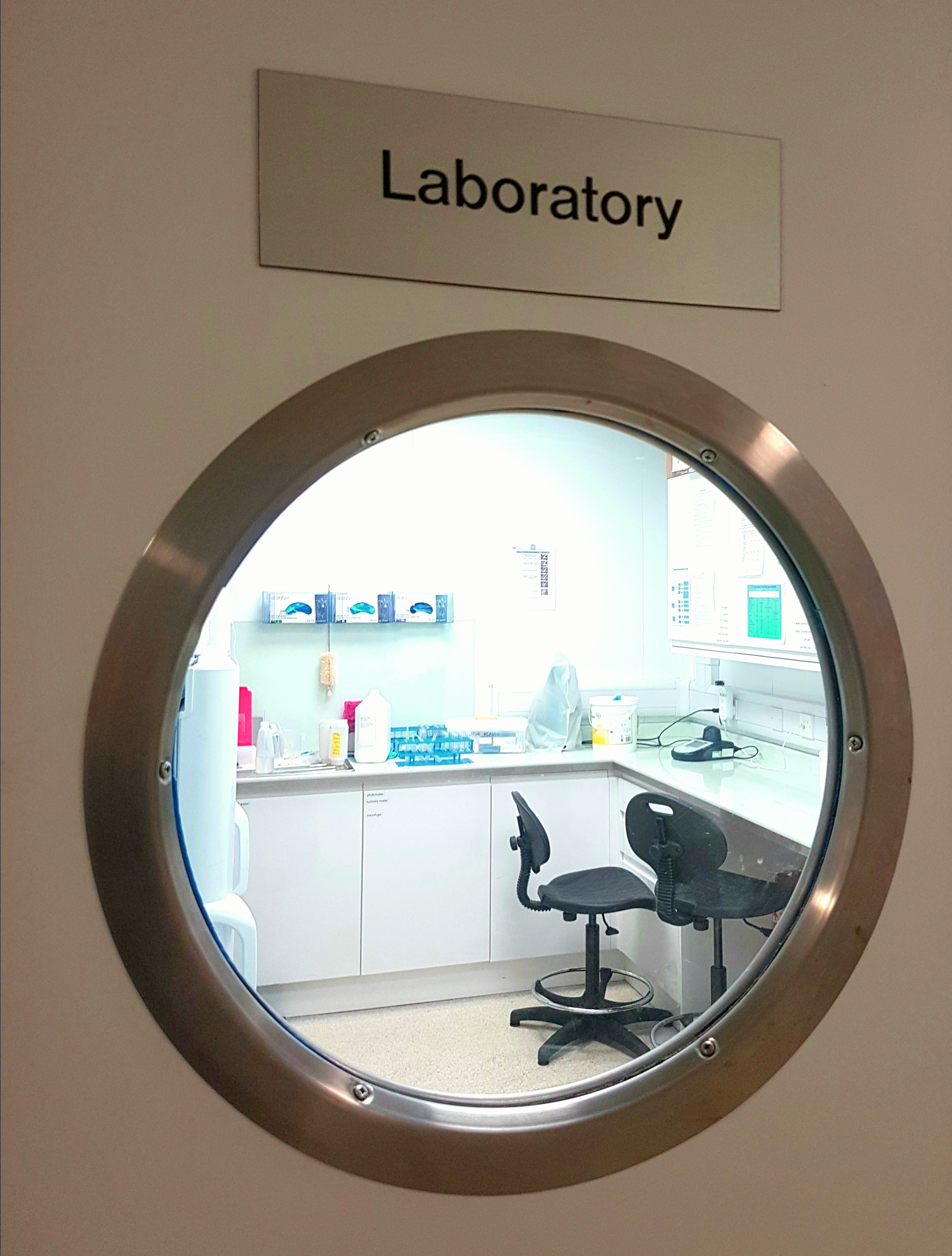 Exploring ultrasound-based technology for salmon delousing