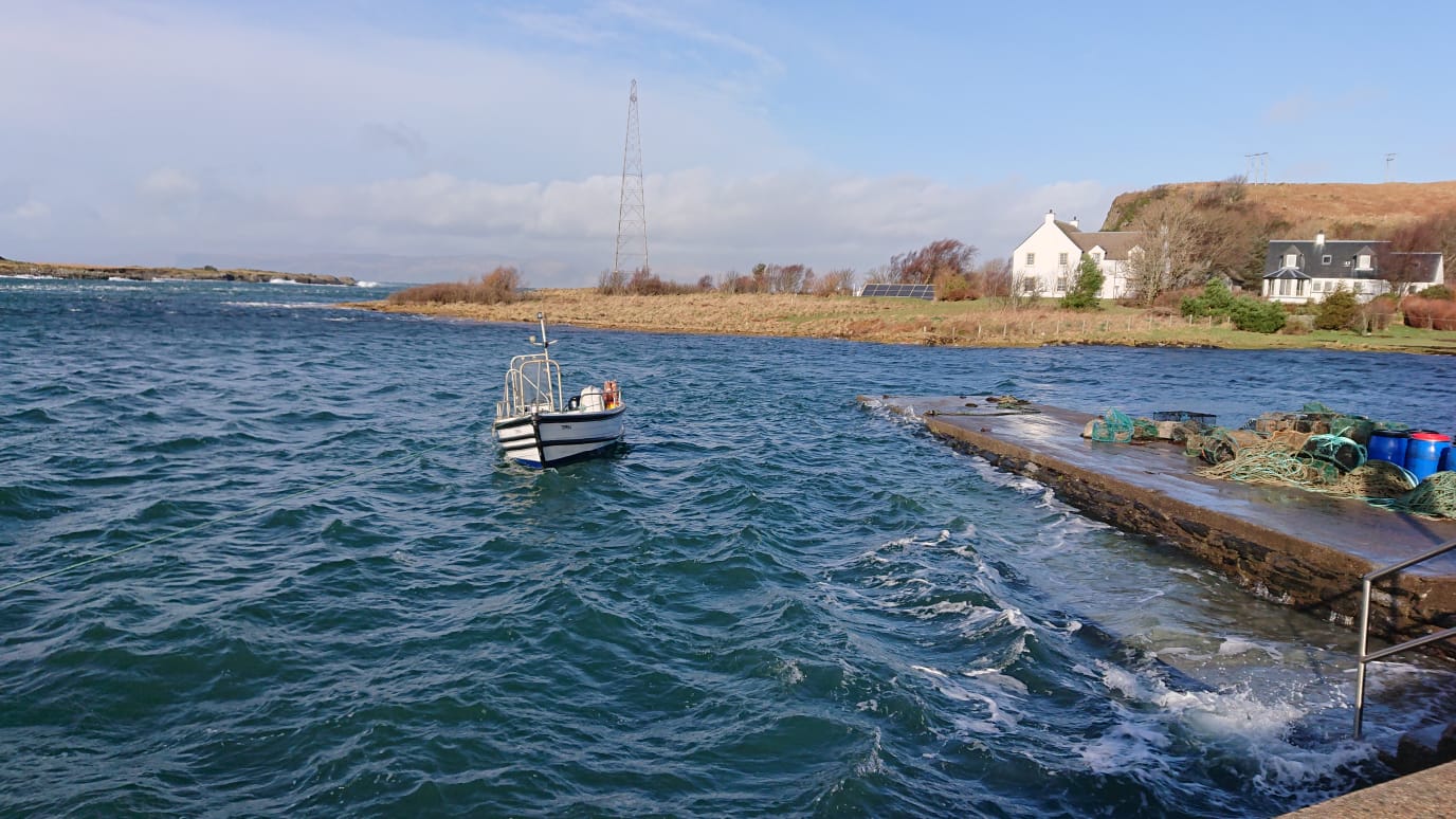 IMG-20200402-WA0005[1].jpg (1)