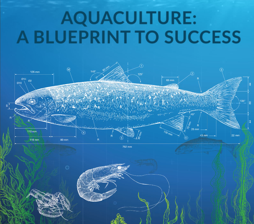 Screenshot 2021-02-21 at 13.27.07.png