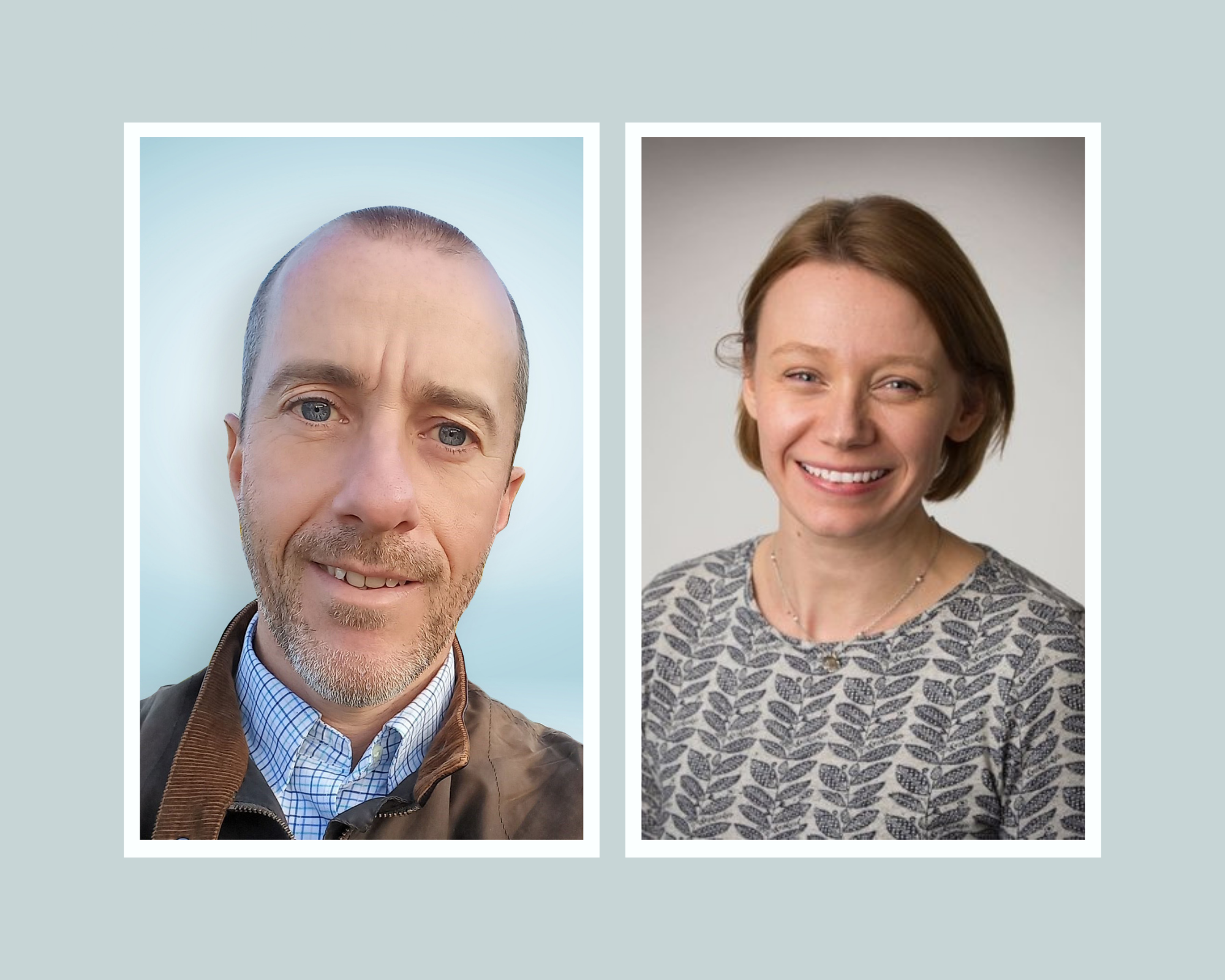 New board appointments.png