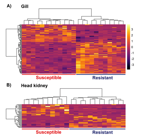 Fig. 3 heatmap
