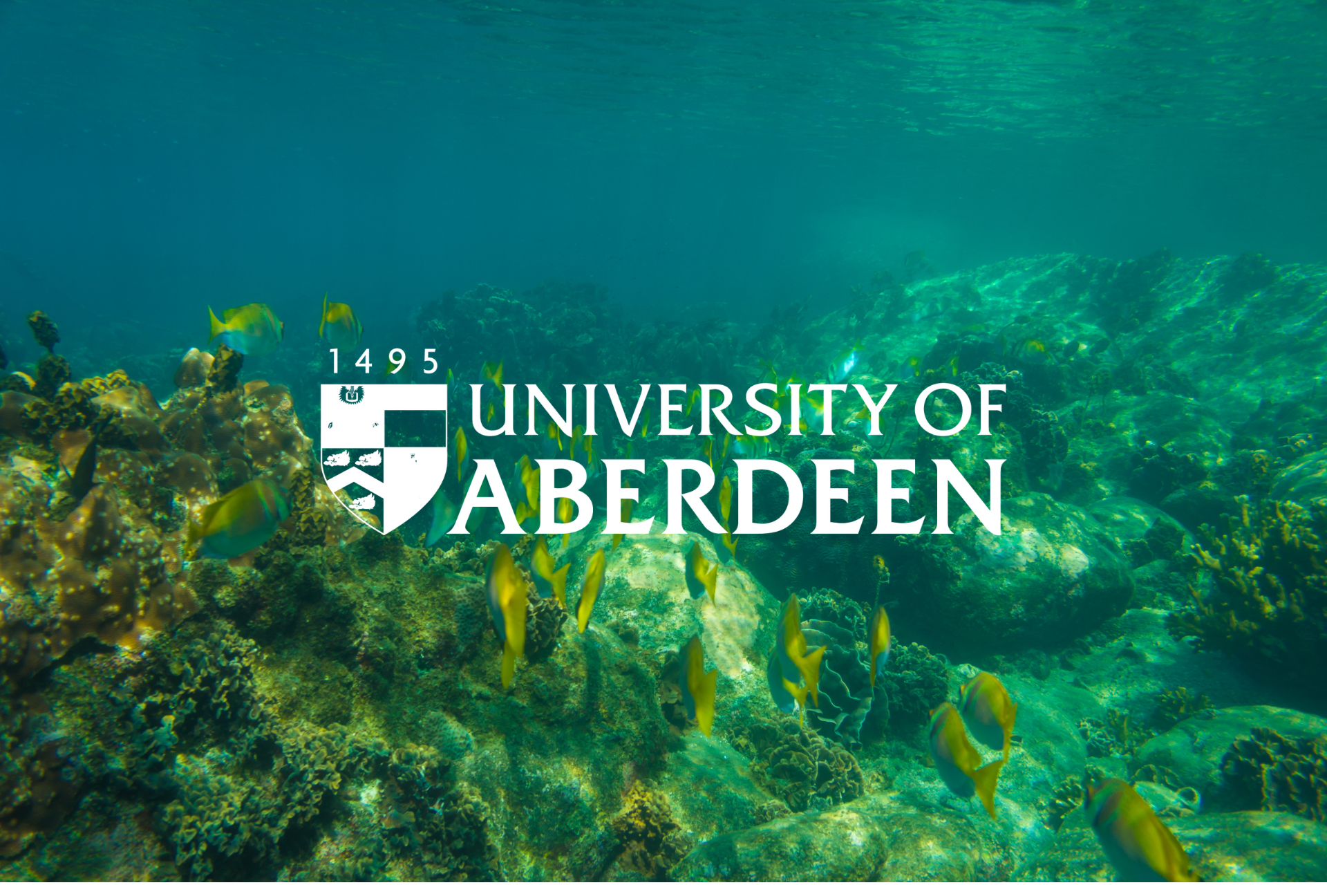 MSc photo_UoA_Applied Marine.png