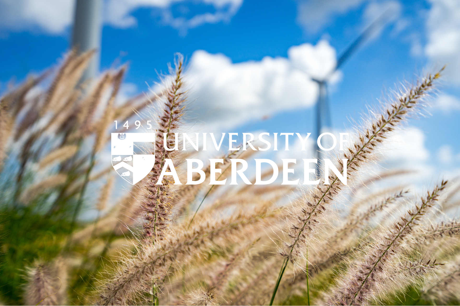 MSc photo_UoA_Sustainability.png