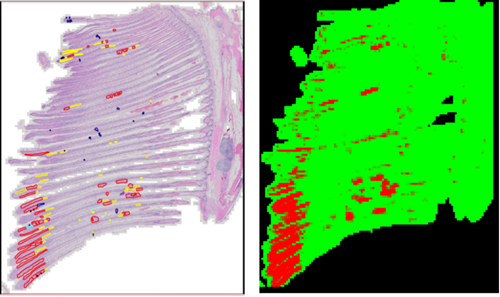 AIGD - AI software graphic