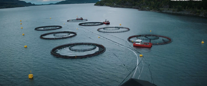 Tubenet AKVA group video still