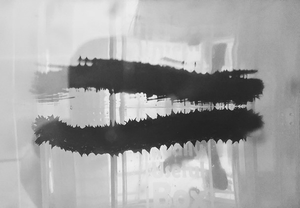 Sea cucumber research