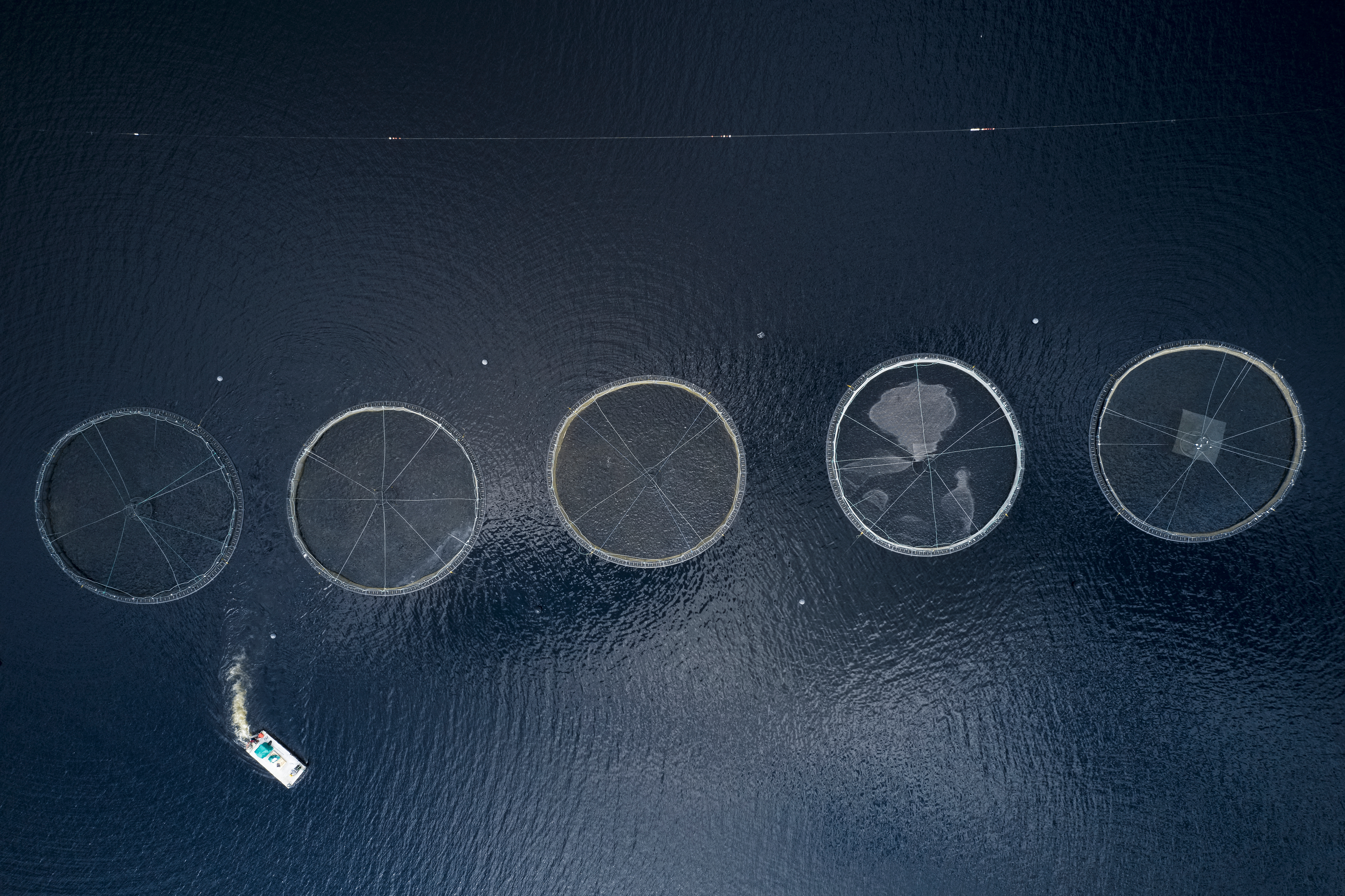 INCREASE: Enhancing predictive models for organic waste dispersal