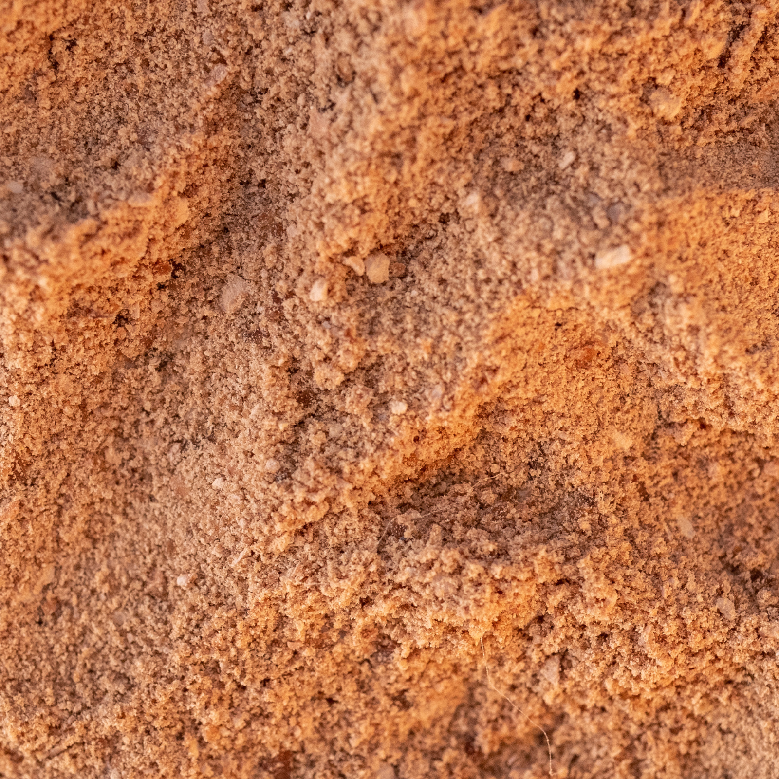 Evaluating CO₂-derived single-cell protein for sustainable fish feed