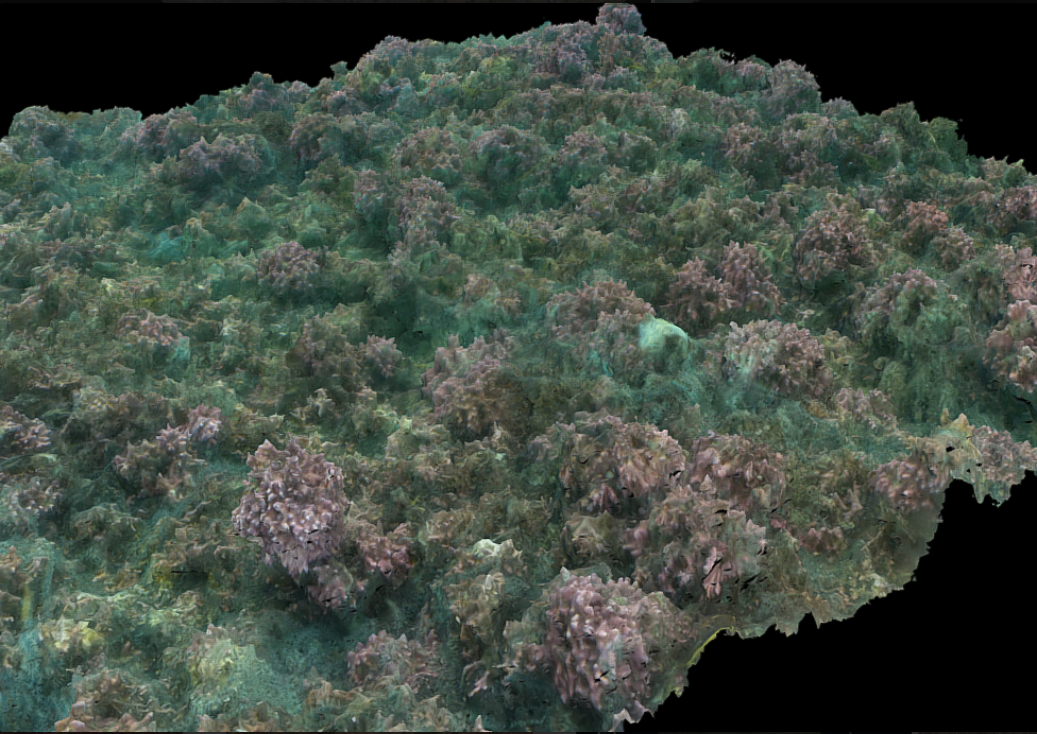 Using 3D photogrammetry to monitor aquaculture impacts on hard substrate seabeds