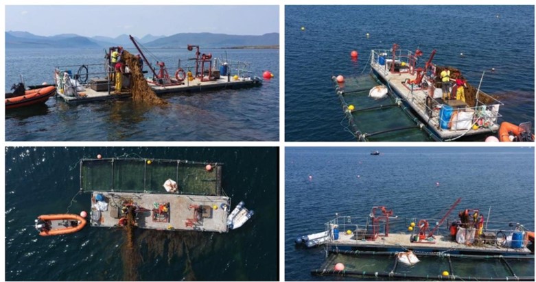 Figure 1 kelp harvesting illustrations
