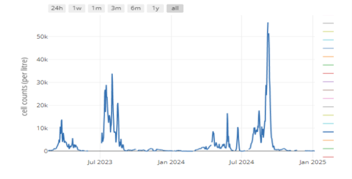 Fig. 3a: Pseudo-nitzschia abundance at Cole Deep