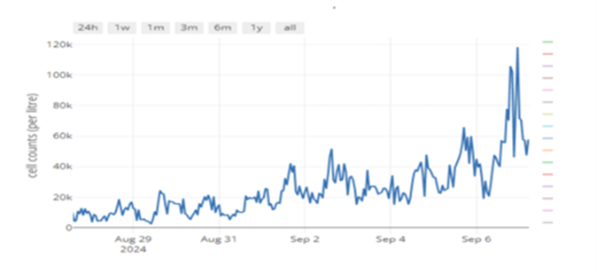 Fig. 3b: Pseudo-nitzschia abundance at Cole Deep