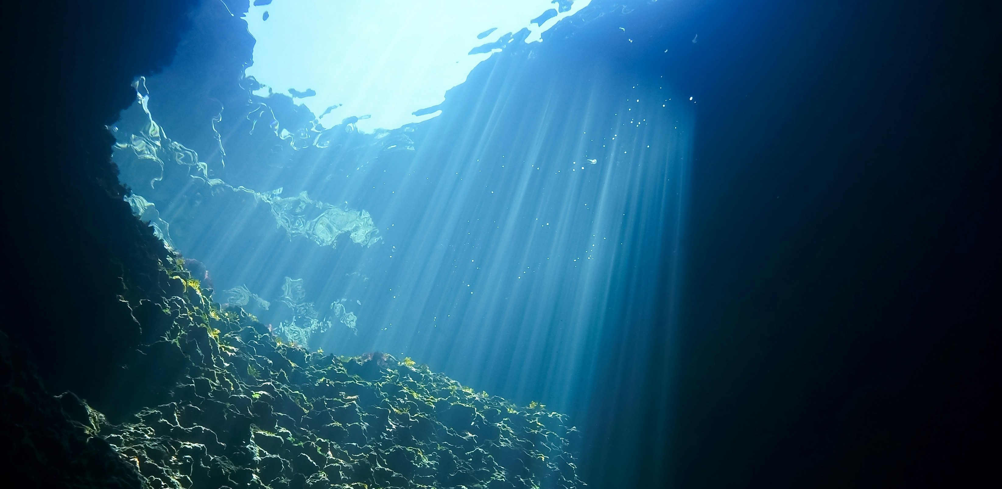 Improving seabed monitoring through standardised imaging and AI analysis: SEA-AI